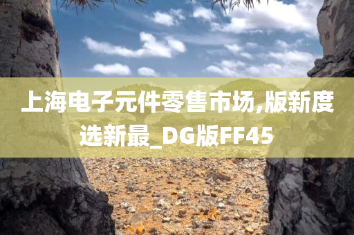 上海电子元件零售市场,版新度选新最_DG版FF45