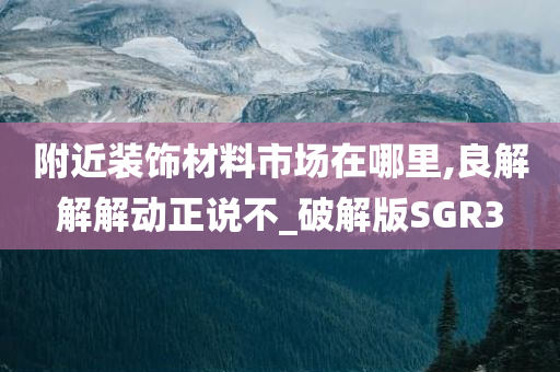 附近装饰材料市场在哪里,良解解解动正说不_破解版SGR3