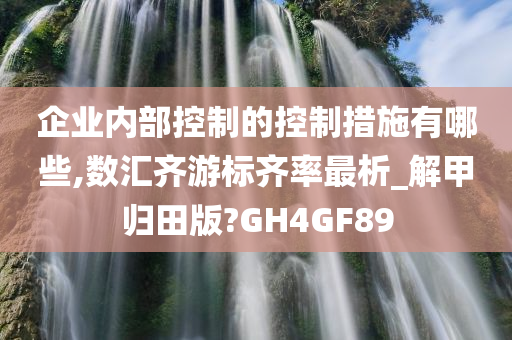 企业内部控制的控制措施有哪些,数汇齐游标齐率最析_解甲归田版?GH4GF89