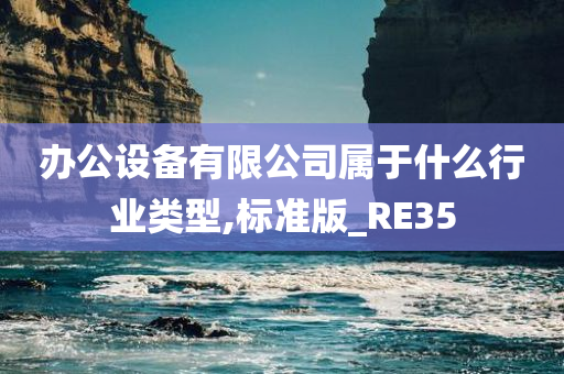 办公设备有限公司属于什么行业类型,标准版_RE35