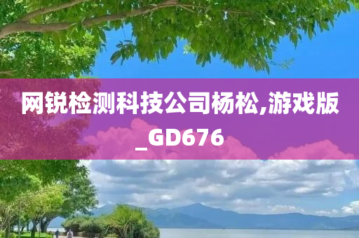 网锐检测科技公司杨松,游戏版_GD676