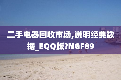 二手电器回收市场,说明经典数据_EQQ版?NGF89