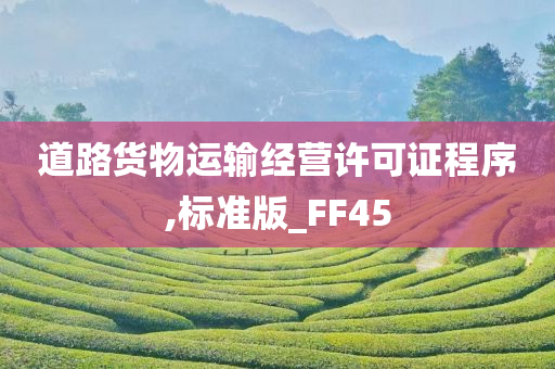 道路货物运输经营许可证程序,标准版_FF45