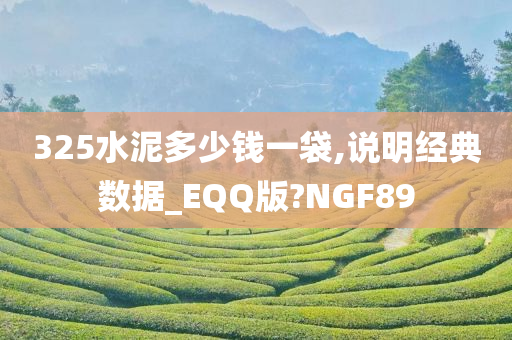 325水泥多少钱一袋,说明经典数据_EQQ版?NGF89