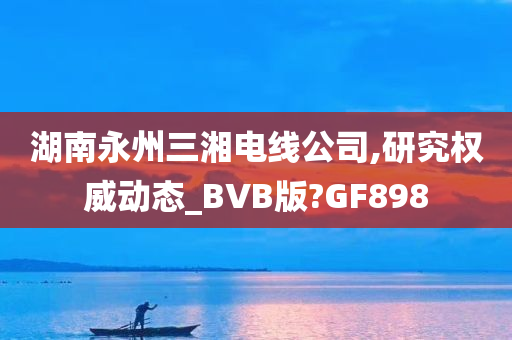 湖南永州三湘电线公司,研究权威动态_BVB版?GF898