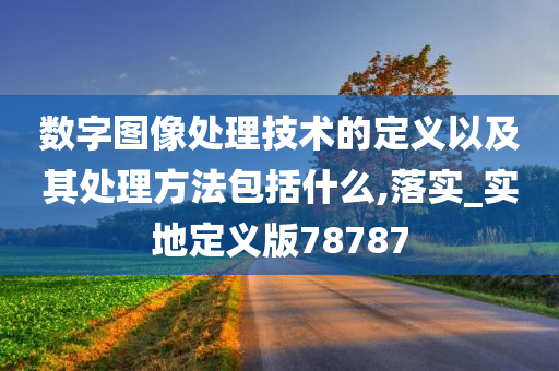 数字图像处理技术的定义以及其处理方法包括什么,落实_实地定义版78787