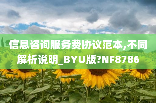 信息咨询服务费协议范本,不同解析说明_BYU版?NF8786