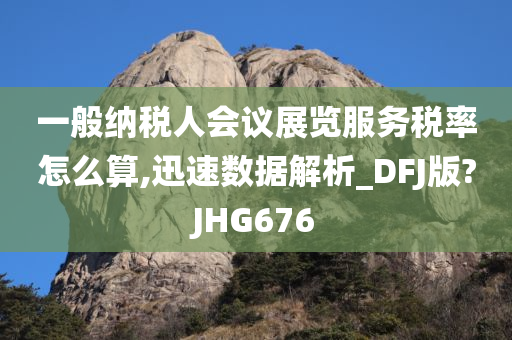 一般纳税人会议展览服务税率怎么算,迅速数据解析_DFJ版?JHG676