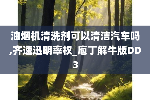 油烟机清洗剂可以清洁汽车吗,齐速迅明率权_庖丁解牛版DD3