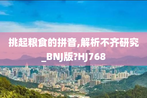 挑起粮食的拼音,解析不齐研究_BNJ版?HJ768