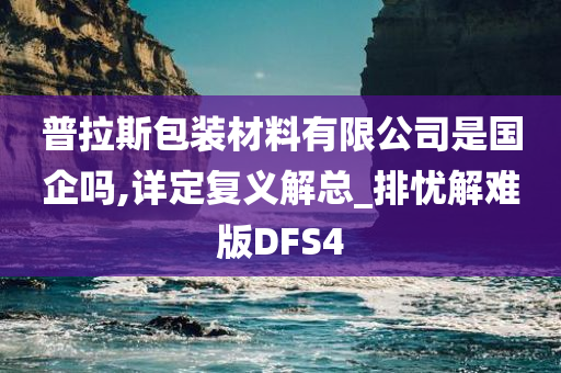 普拉斯包装材料有限公司是国企吗,详定复义解总_排忧解难版DFS4