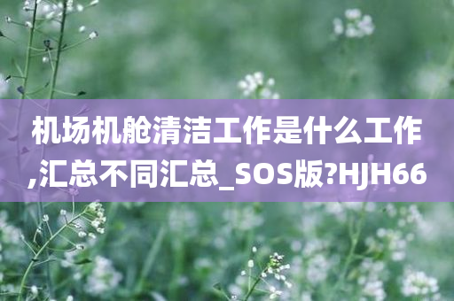 机场机舱清洁工作是什么工作,汇总不同汇总_SOS版?HJH66