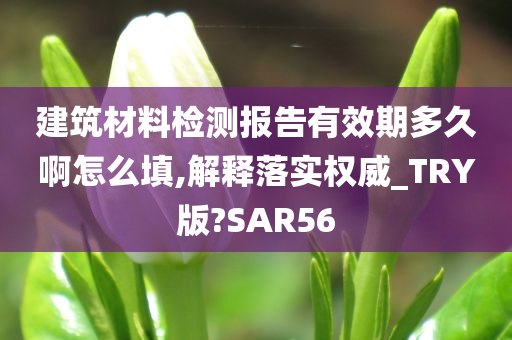 建筑材料检测报告有效期多久啊怎么填,解释落实权威_TRY版?SAR56