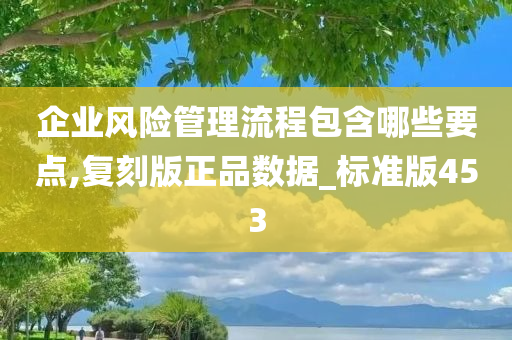 企业风险管理流程包含哪些要点,复刻版正品数据_标准版453