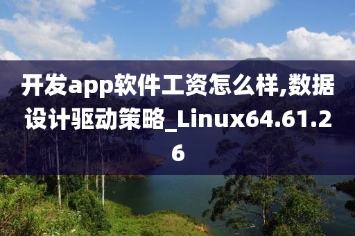 开发app软件工资怎么样,数据设计驱动策略_Linux64.61.26