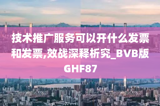 技术推广服务可以开什么发票和发票,效战深释析究_BVB版GHF87