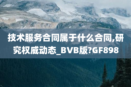 技术服务合同属于什么合同,研究权威动态_BVB版?GF898