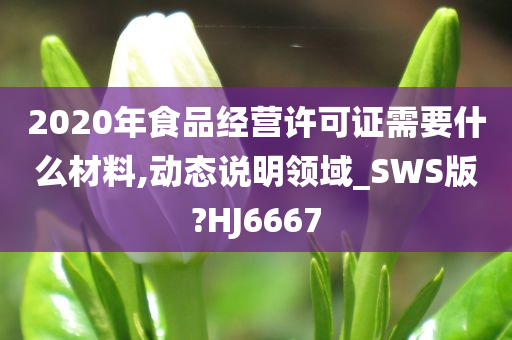 2020年食品经营许可证需要什么材料,动态说明领域_SWS版?HJ6667