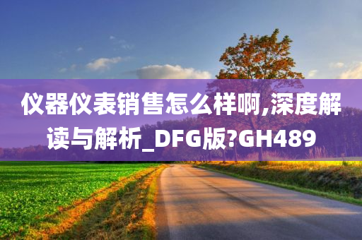 仪器仪表销售怎么样啊,深度解读与解析_DFG版?GH489