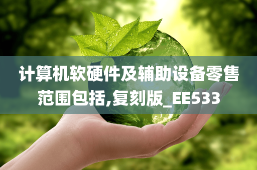 计算机软硬件及辅助设备零售范围包括,复刻版_EE533