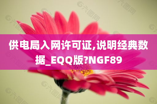 供电局入网许可证,说明经典数据_EQQ版?NGF89