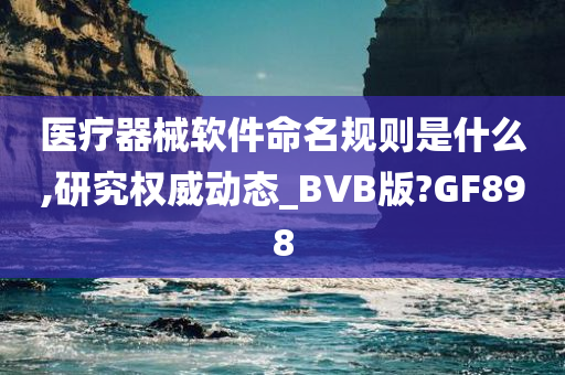 医疗器械软件命名规则是什么,研究权威动态_BVB版?GF898