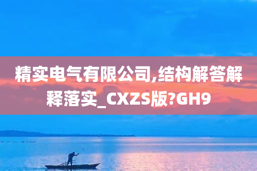 精实电气有限公司,结构解答解释落实_CXZS版?GH9