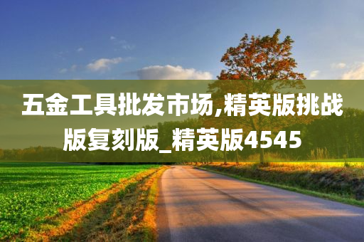 五金工具批发市场,精英版挑战版复刻版_精英版4545