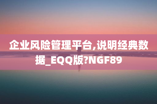 企业风险管理平台,说明经典数据_EQQ版?NGF89