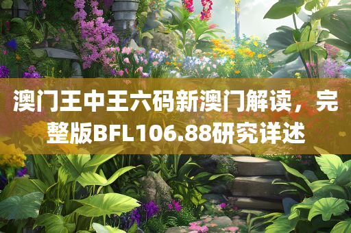 澳门王中王六码新澳门解读，完整版BFL106.88研究详述