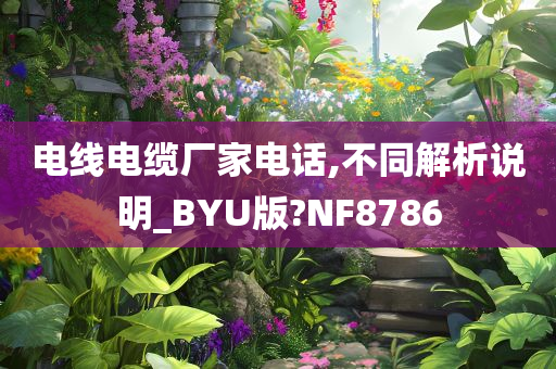 电线电缆厂家电话,不同解析说明_BYU版?NF8786