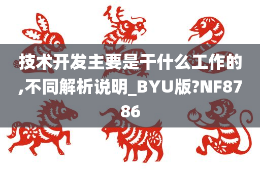 技术开发主要是干什么工作的,不同解析说明_BYU版?NF8786