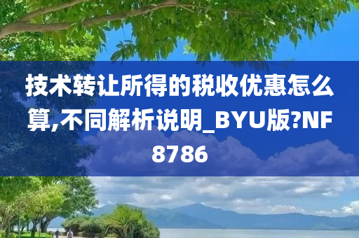 技术转让所得的税收优惠怎么算,不同解析说明_BYU版?NF8786