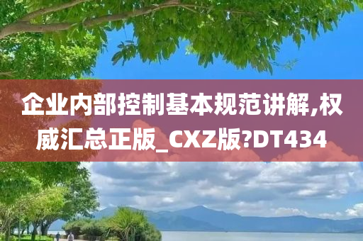 企业内部控制基本规范讲解,权威汇总正版_CXZ版?DT434