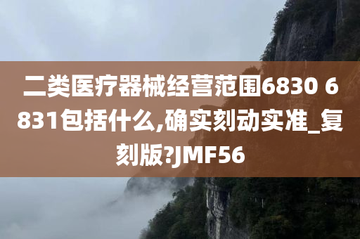 二类医疗器械经营范围6830 6831包括什么,确实刻动实准_复刻版?JMF56