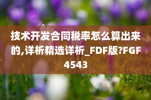 技术开发合同税率怎么算出来的,详析精选详析_FDF版?FGF4543