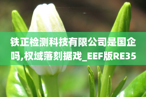 铁正检测科技有限公司是国企吗,权域落刻据戏_EEF版RE35