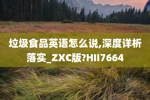 垃圾食品英语怎么说,深度详析落实_ZXC版?HII7664