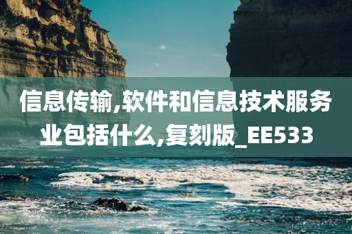 信息传输,软件和信息技术服务业包括什么,复刻版_EE533