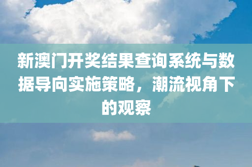 新澳门开奖结果查询系统与数据导向实施策略，潮流视角下的观察