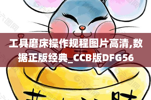 工具磨床操作规程图片高清,数据正版经典_CCB版DFG56