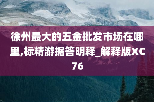 徐州最大的五金批发市场在哪里,标精游据答明释_解释版XC76