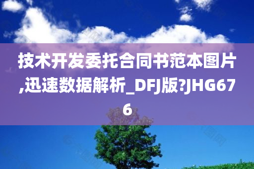 技术开发委托合同书范本图片,迅速数据解析_DFJ版?JHG676