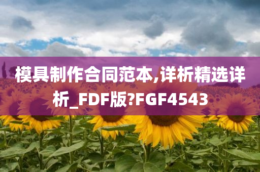 模具制作合同范本,详析精选详析_FDF版?FGF4543