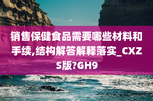 销售保健食品需要哪些材料和手续,结构解答解释落实_CXZS版?GH9