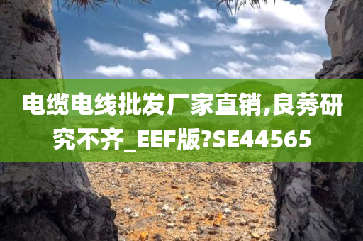 电缆电线批发厂家直销,良莠研究不齐_EEF版?SE44565