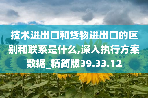 技术进出口和货物进出口的区别和联系是什么,深入执行方案数据_精简版39.33.12