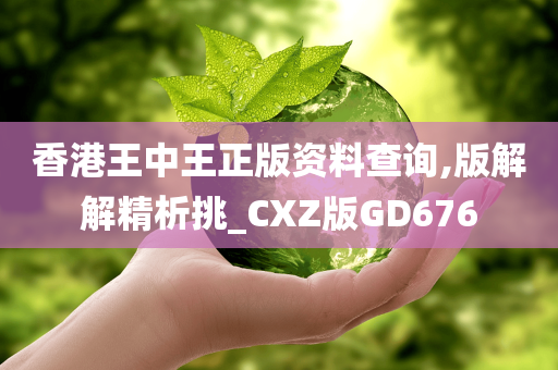 香港王中王正版资料查询,版解解精析挑_CXZ版GD676