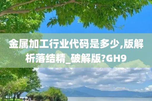 金属加工行业代码是多少,版解析落结精_破解版?GH9