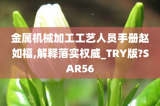 金属机械加工工艺人员手册赵如福,解释落实权威_TRY版?SAR56